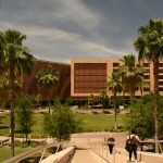 Courses that are available in the participating universities